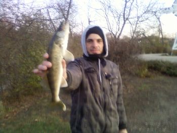 fmislih profile photo