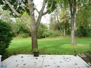 vevangelist profile photo