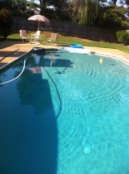 dartrip profile photo