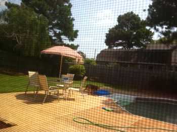 dartrip profile photo