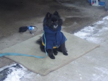 duskyjewel profile photo