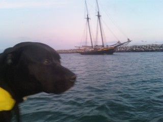 ralph.hall profile photo