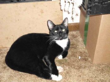 JJustice78 profile photo