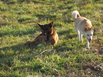 timster85 profile photo