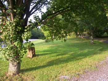 morrish profile photo