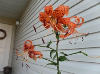 meghan012990 profile photo