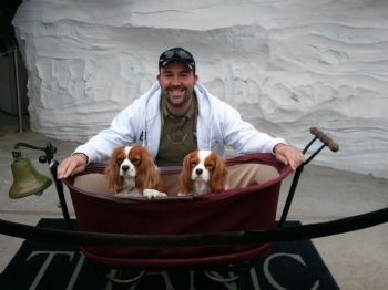 cjdpma82 profile photo