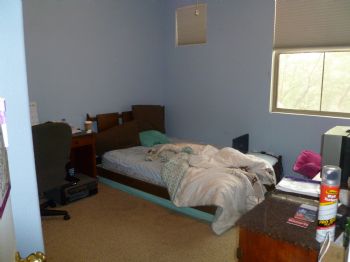 dearshauna12 profile photo