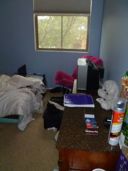 dearshauna12 profile photo