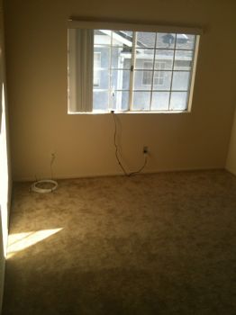 larrom profile photo