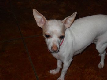 sclary profile photo