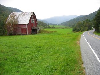 tomlacovara profile photo