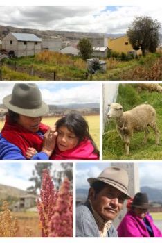 Sfairfie profile photo