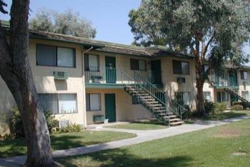 GrandPuba profile photo