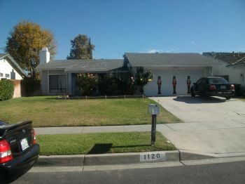 lizzy201040 profile photo