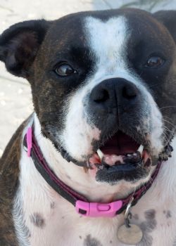 sammiehess profile photo