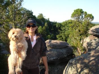 EvilPixie profile photo