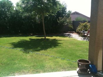 sonnyu28 profile photo