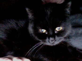 Mandee14 profile photo