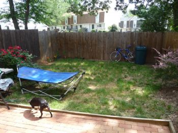 drk2010 profile photo