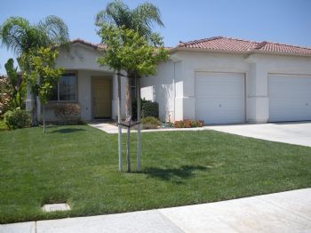 nmwhite profile photo