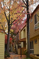 bometissedu9 profile photo