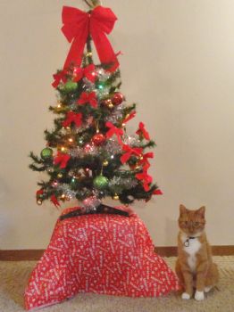 mandi1988 profile photo