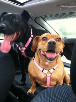 sam303 profile photo