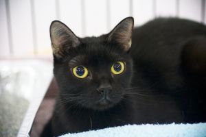 Sister MM profile photo