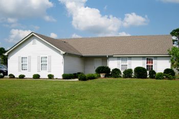 knedragger82 profile photo