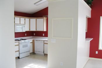 knedragger82 profile photo