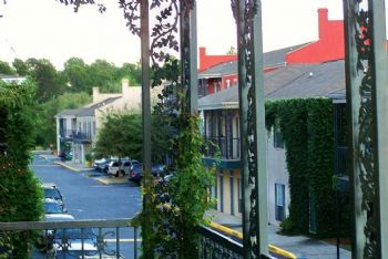 cngibson profile photo