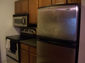 reneep10 profile photo