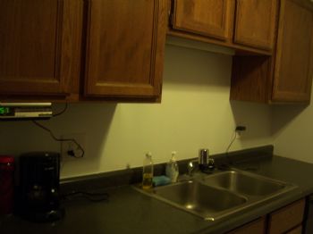 reneep10 profile photo