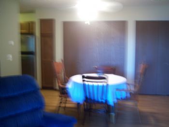 reneep10 profile photo