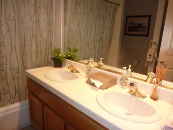 MFC35160 profile photo