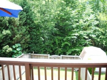 tana1103 profile photo