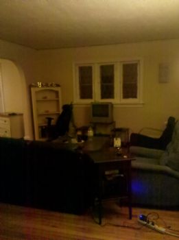 nyni619 profile photo