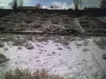 silverthorn profile photo