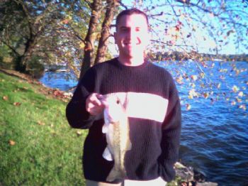 2318alcove profile photo