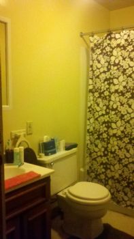 Dan T. profile photo