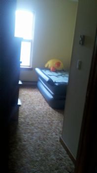 Dan T. profile photo