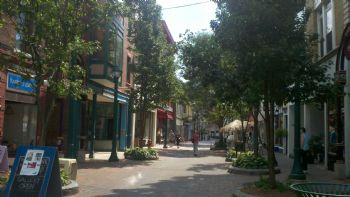 Dan T. profile photo