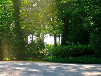 Lydia64 profile photo