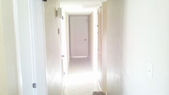 BrendanMac profile photo