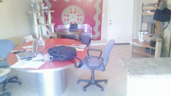 BrendanMac profile photo