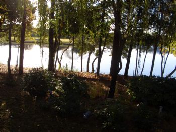 just4dat profile photo