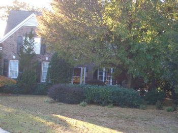 just4dat profile photo