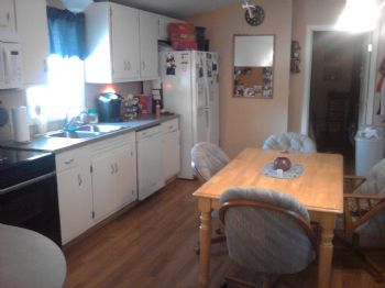 dragnflygal profile photo