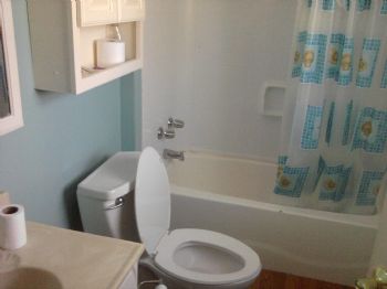 dragnflygal profile photo